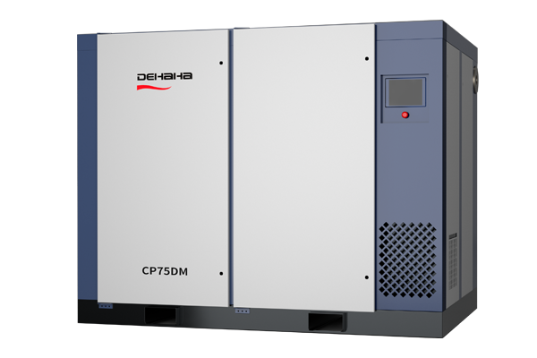 CP series PM VSD screw — official catalog illustration